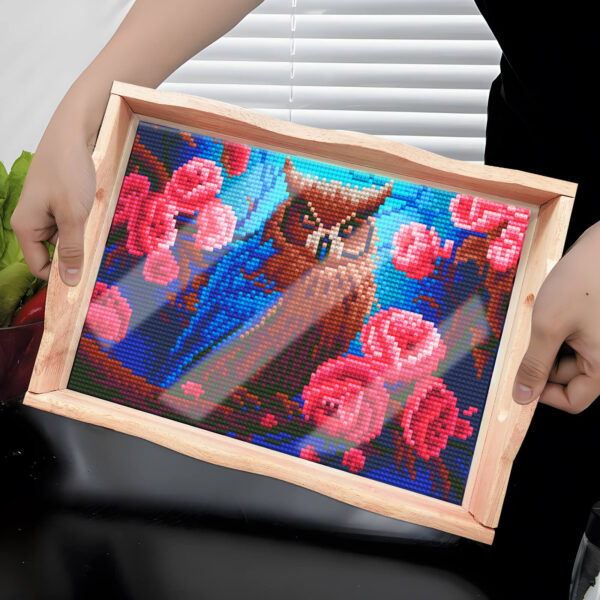 Diamond Painting Dienblad Uil